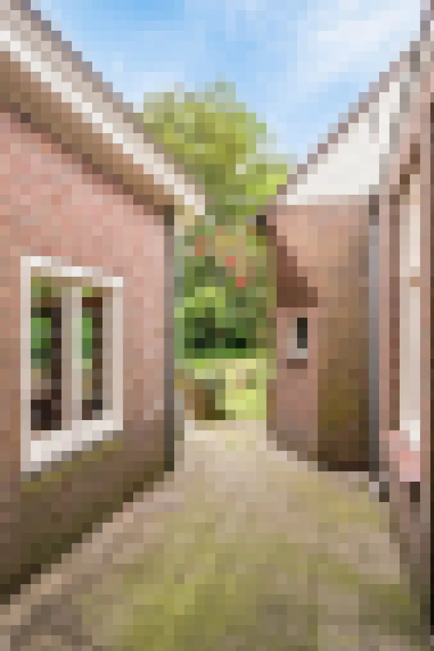 Hoofdstraat 33 Schijndel thumbnail 52