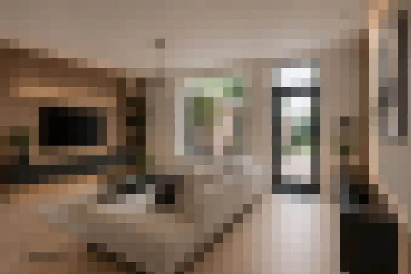 Hoofdstraat 33 Schimmert thumbnail 6