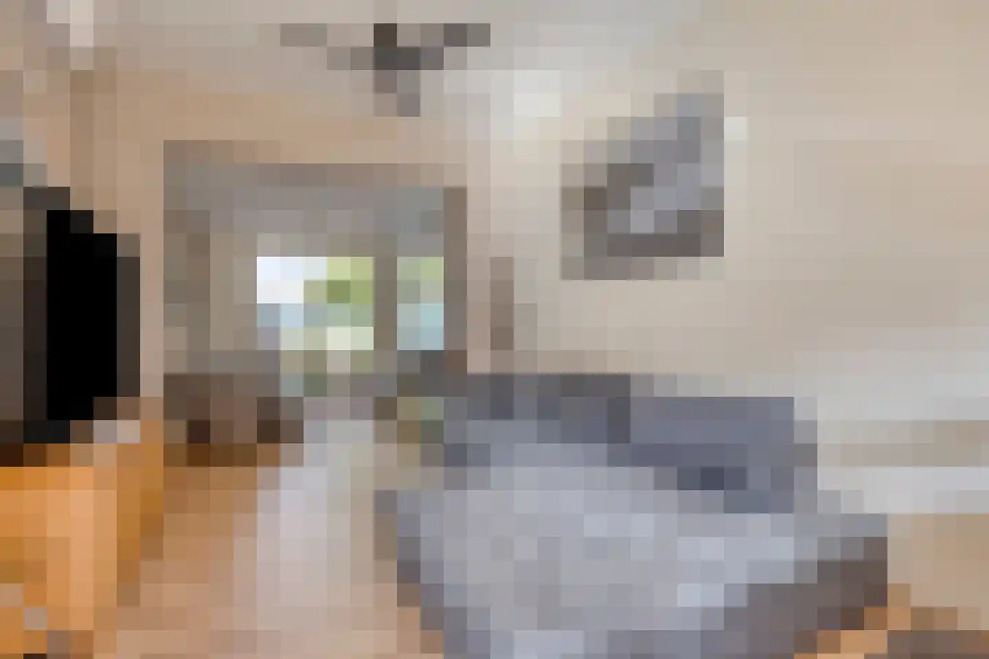 Hoofdstraat 33 Schimmert thumbnail 7