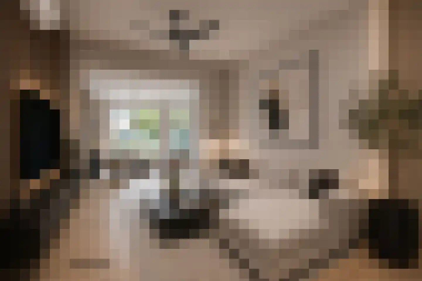 Hoofdstraat 33 Schimmert thumbnail 8