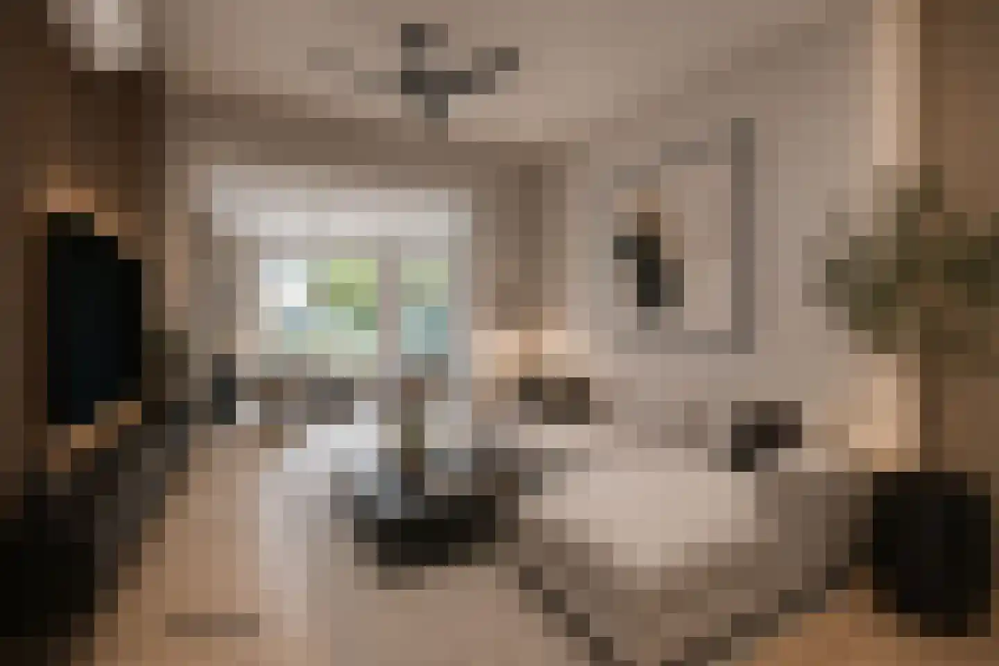 Hoofdstraat 33 Schimmert thumbnail 9