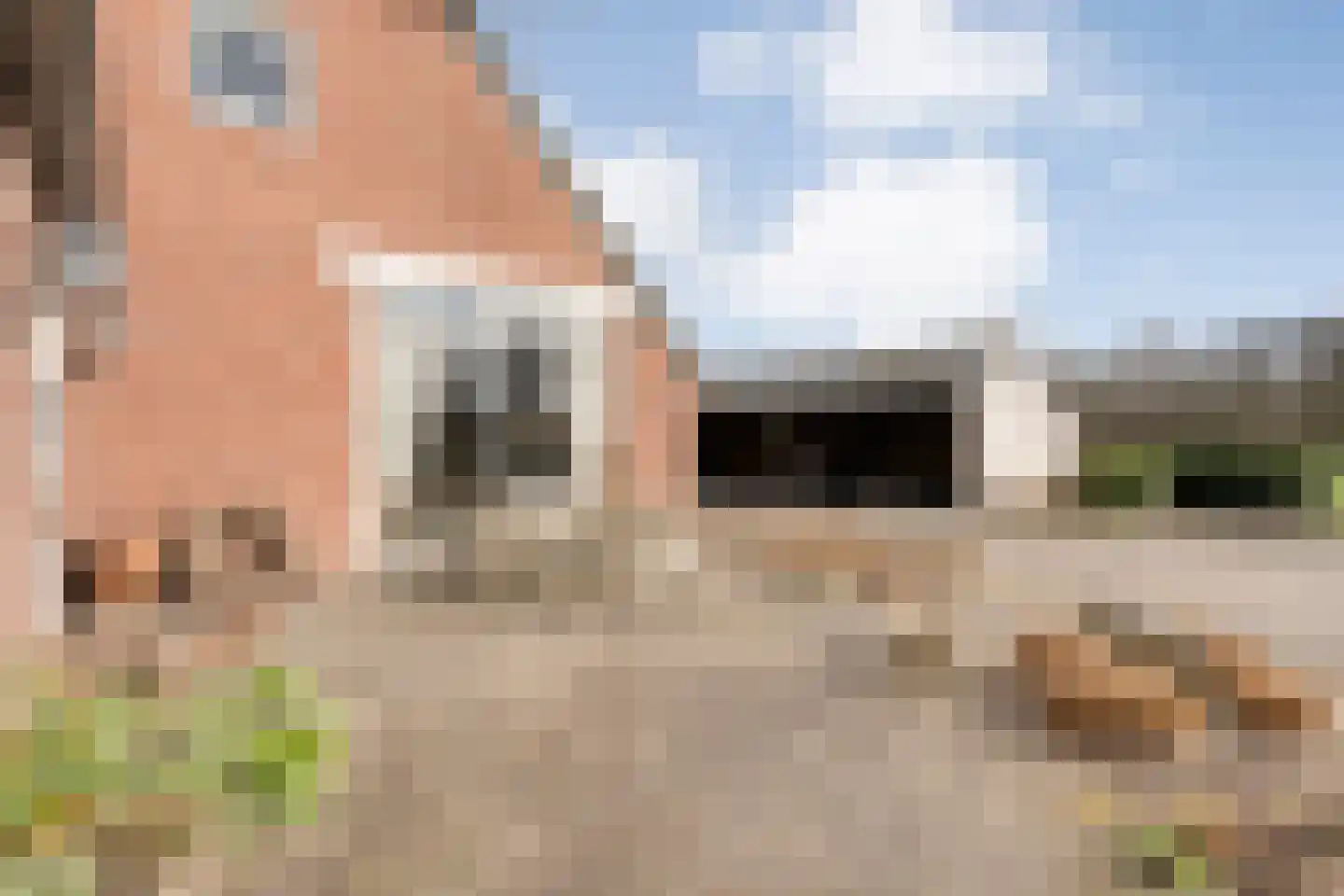 Hoofdstraat 33 Zwiggelte thumbnail 11