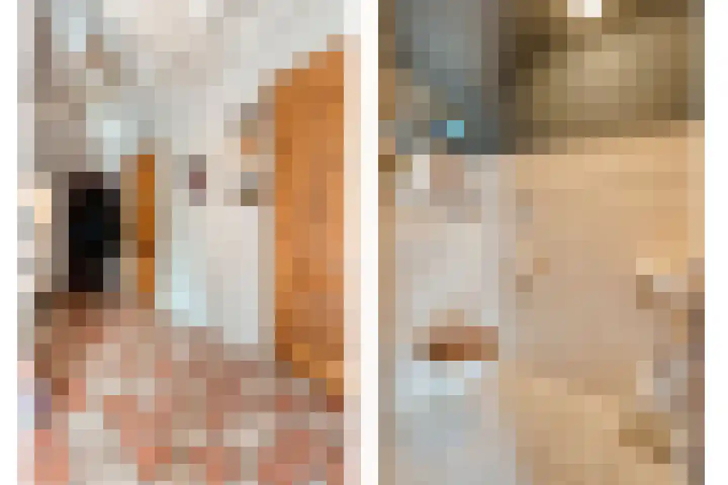 Hoofdstraat 33 Zwiggelte thumbnail 13