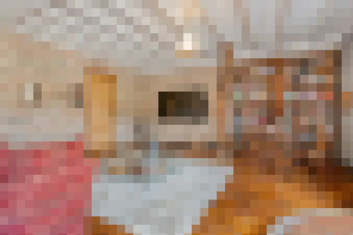 Hoofdstraat 33 Zwiggelte thumbnail 24