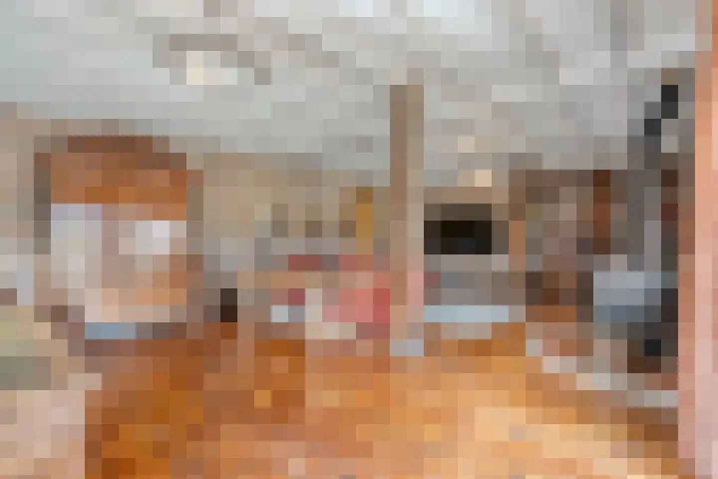 Hoofdstraat 33 Zwiggelte thumbnail 26