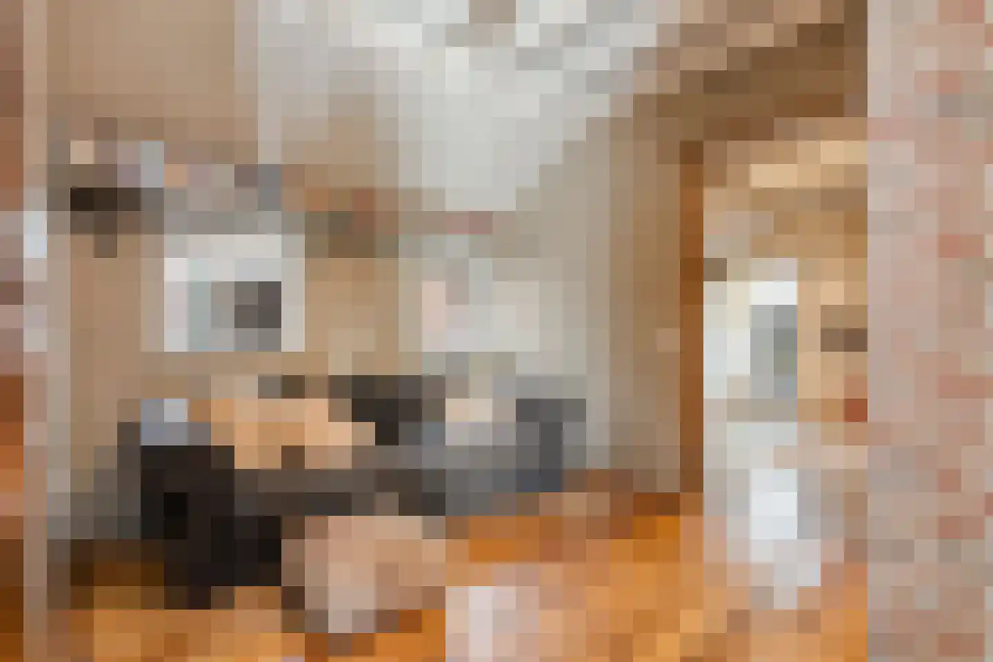 Hoofdstraat 33 Zwiggelte thumbnail 32