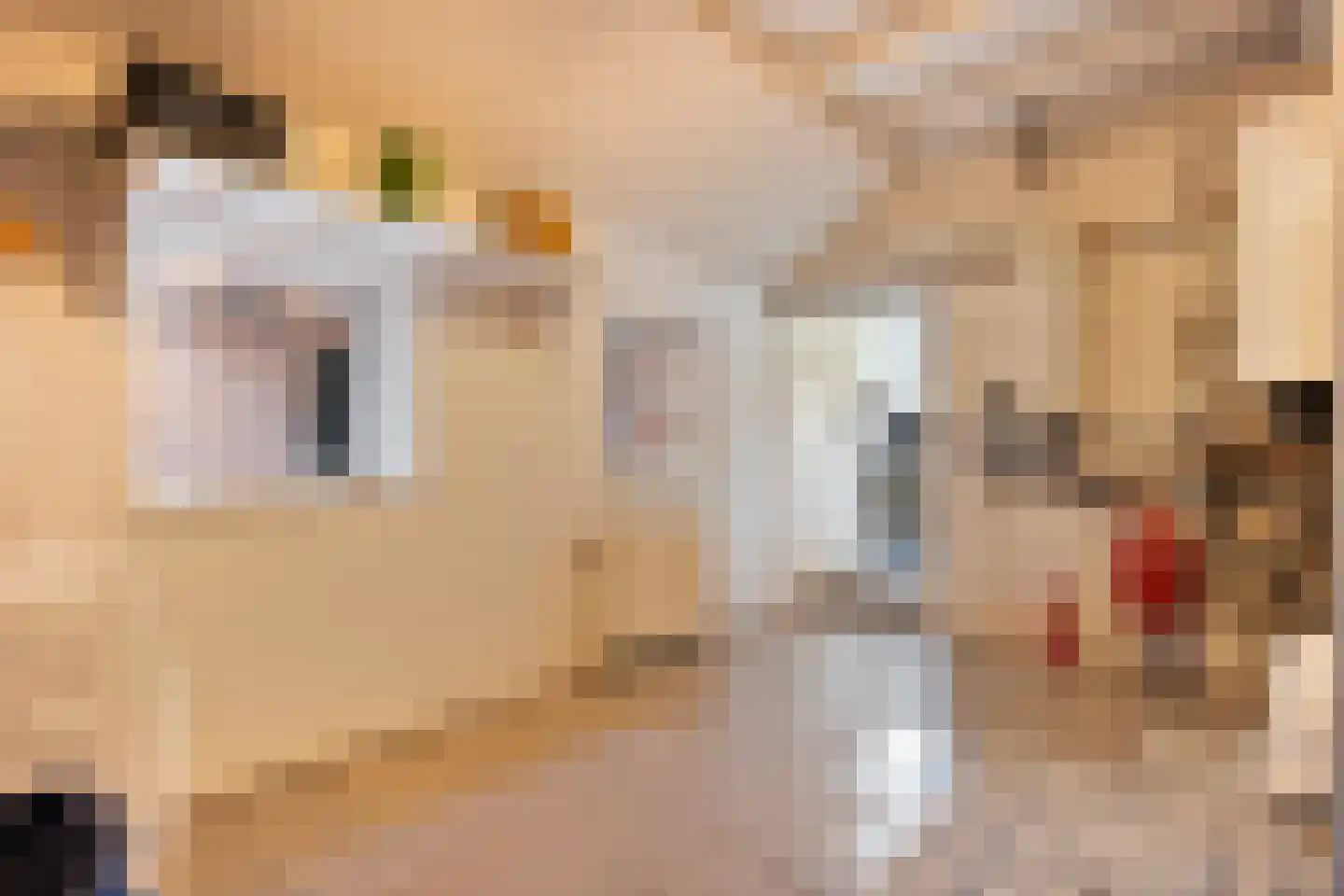 Hoofdstraat 33 Zwiggelte thumbnail 33