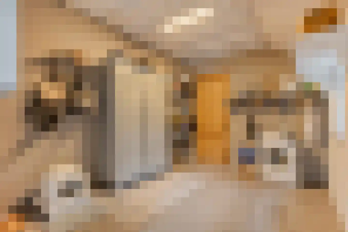 Hoofdstraat 33 Zwiggelte thumbnail 34