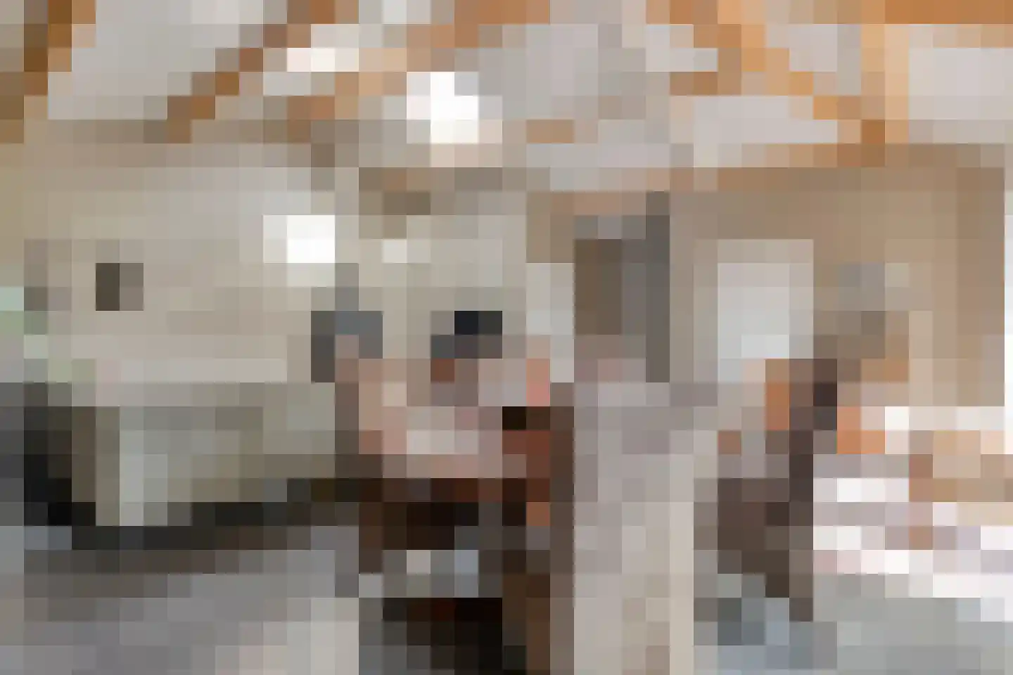 Hoofdstraat 33 Zwiggelte thumbnail 36