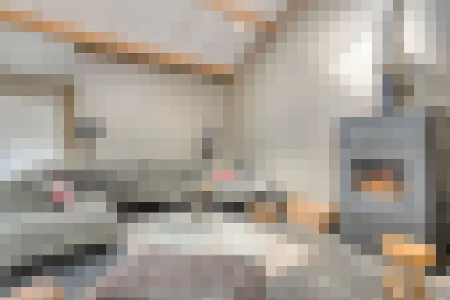 Hoofdstraat 33 Zwiggelte thumbnail 38