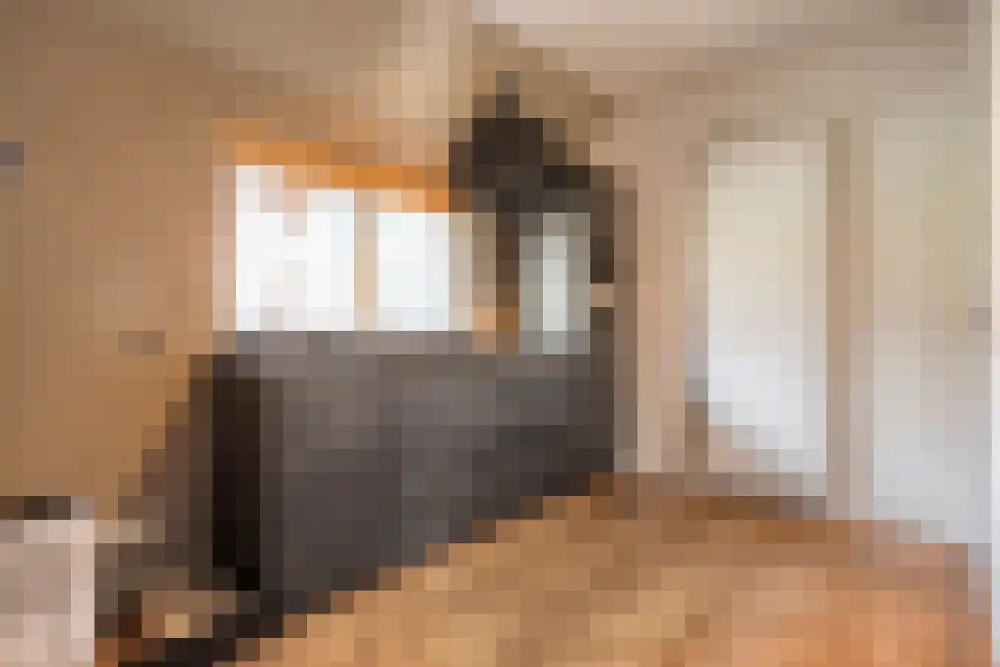 Hoofdstraat 33 Zwiggelte thumbnail 48
