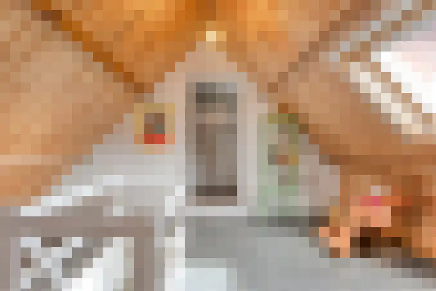 Hoofdstraat 33 Zwiggelte thumbnail 49