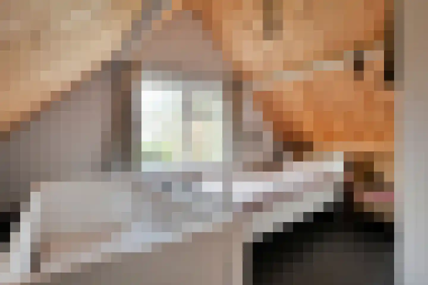 Hoofdstraat 33 Zwiggelte thumbnail 50