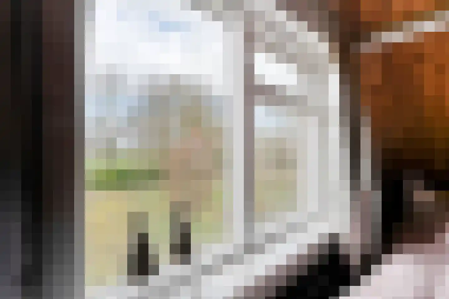 Hoofdstraat 33 Zwiggelte thumbnail 51
