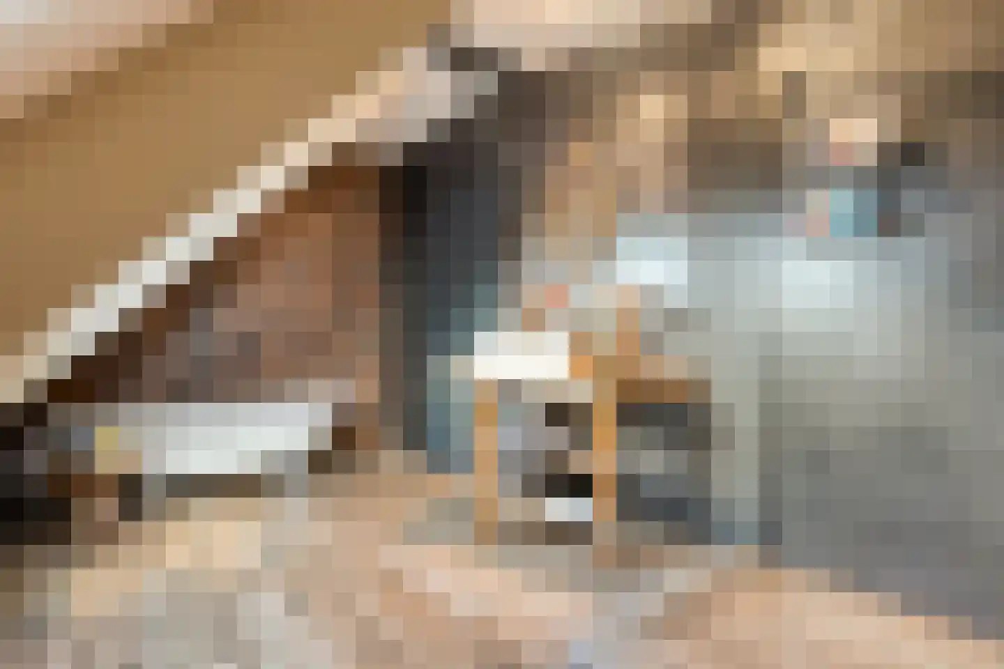 Hoofdstraat 33 Zwiggelte thumbnail 62