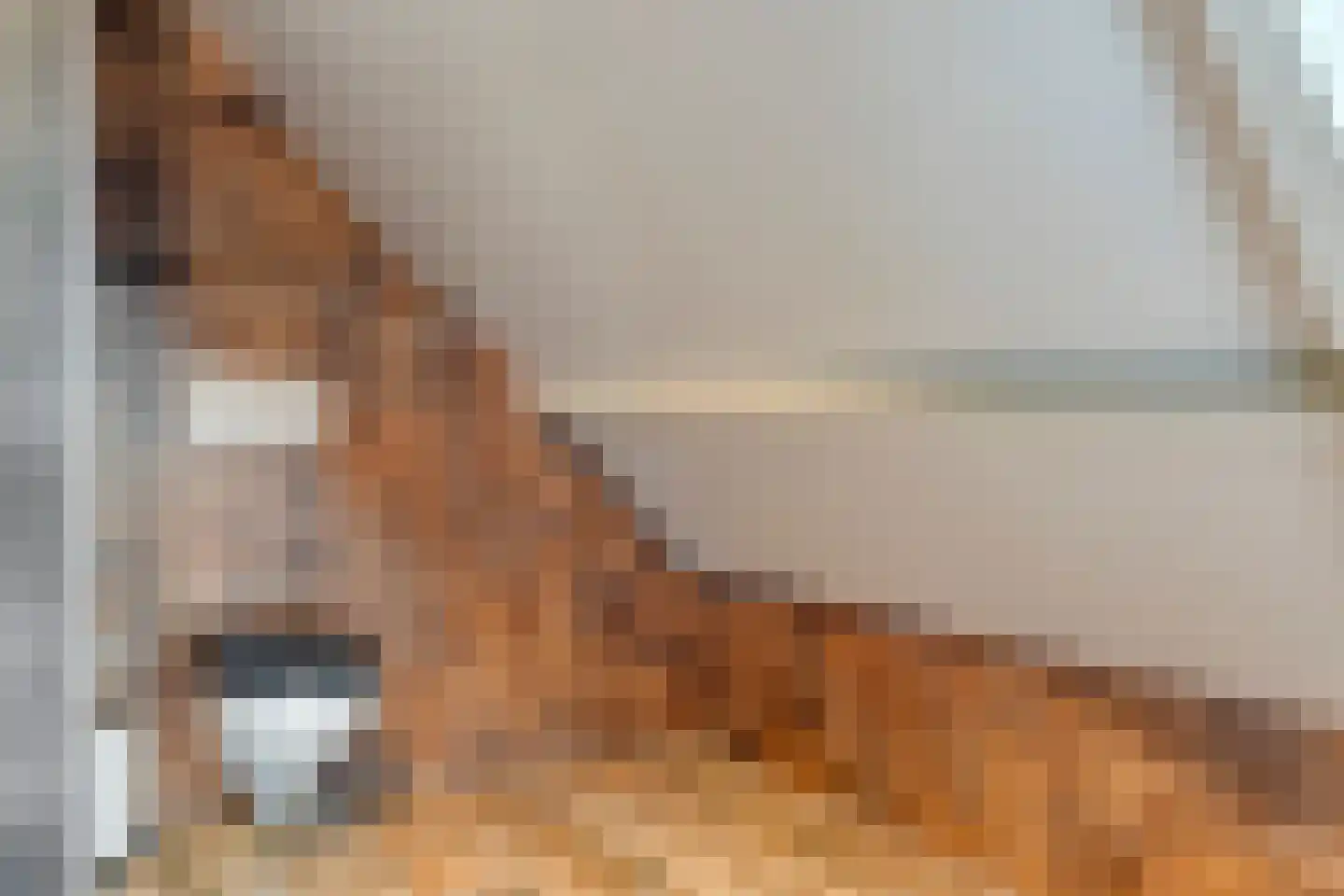 Hoofdstraat 33 Zwiggelte thumbnail 64
