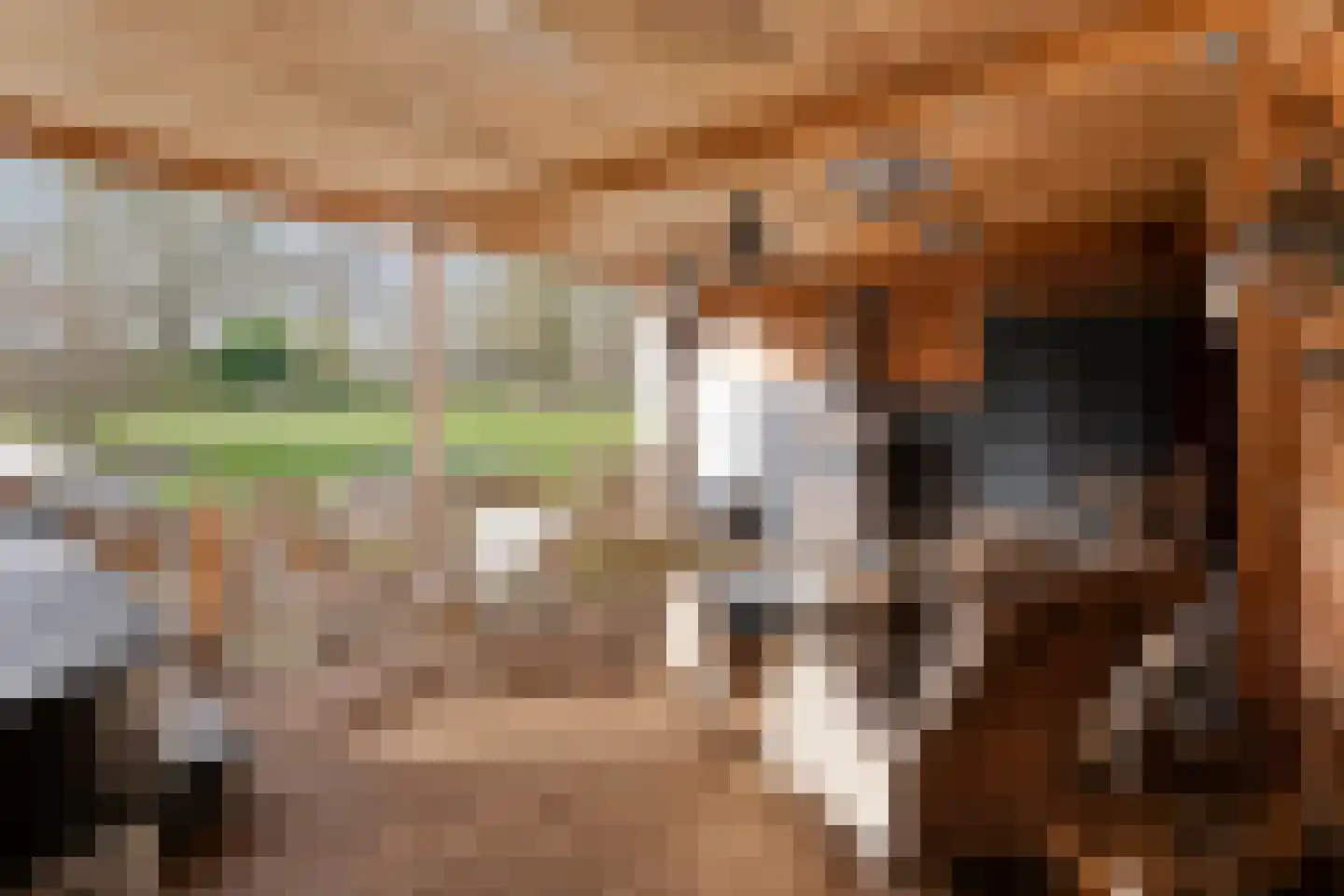 Hoofdstraat 33 Zwiggelte thumbnail 70