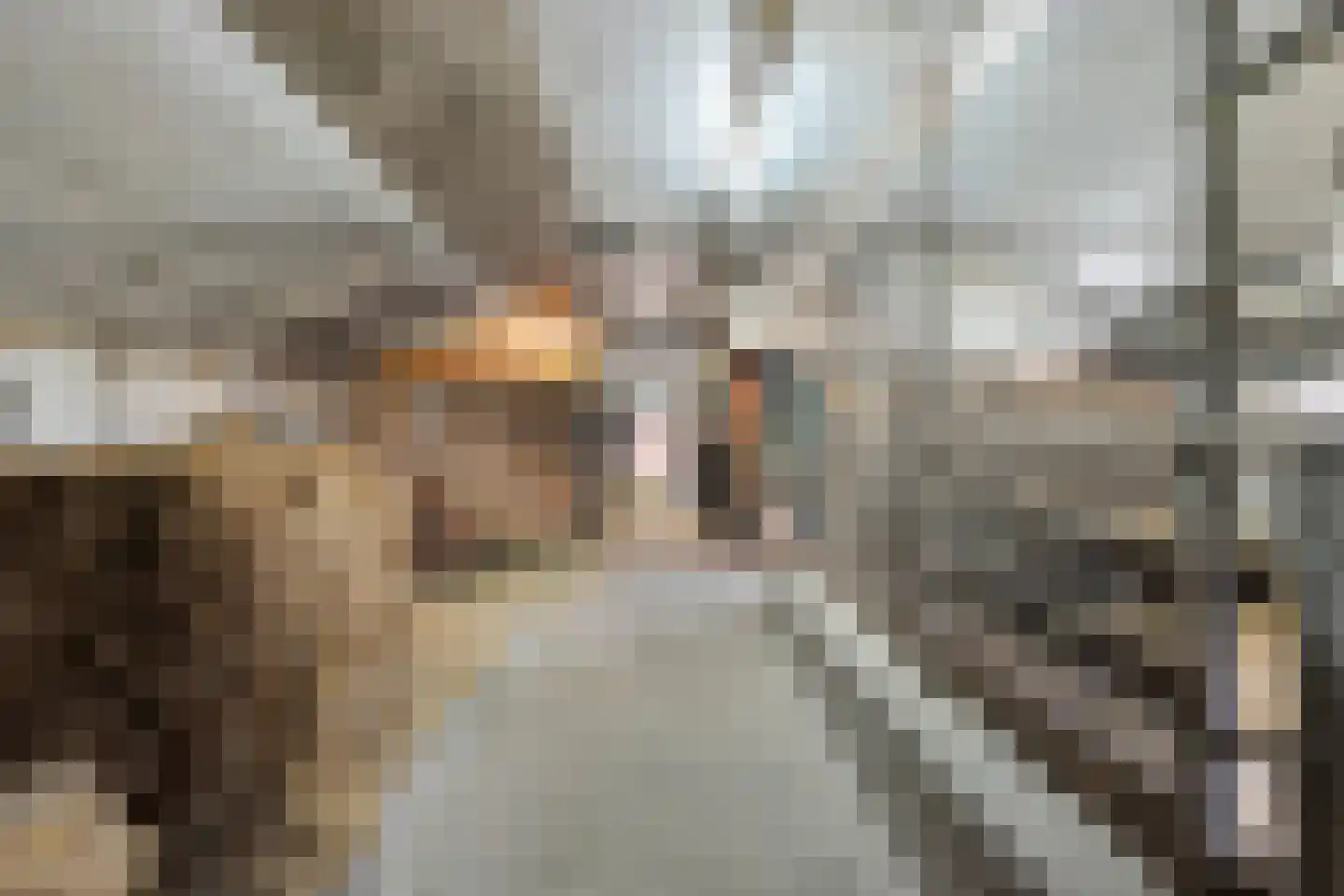 Hoofdstraat 33 Zwiggelte thumbnail 75