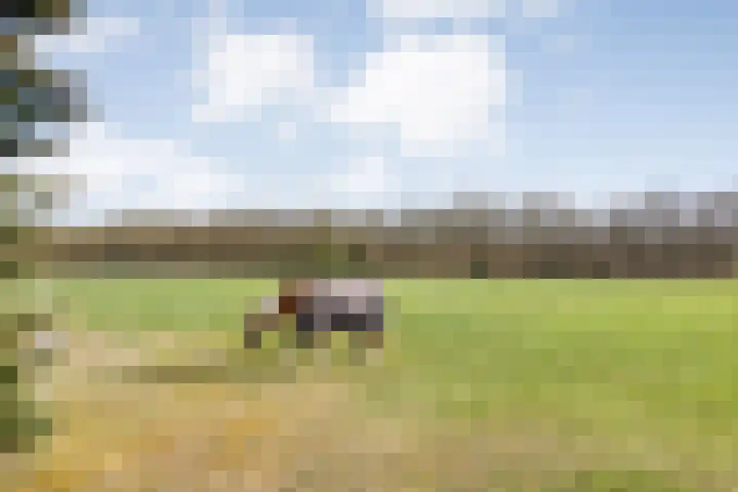 Hoofdstraat 33 Zwiggelte thumbnail 84