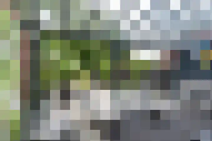 Hoofdstraat 334 Landgraaf thumbnail 28