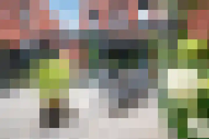 Hoofdstraat 334 Landgraaf thumbnail 30