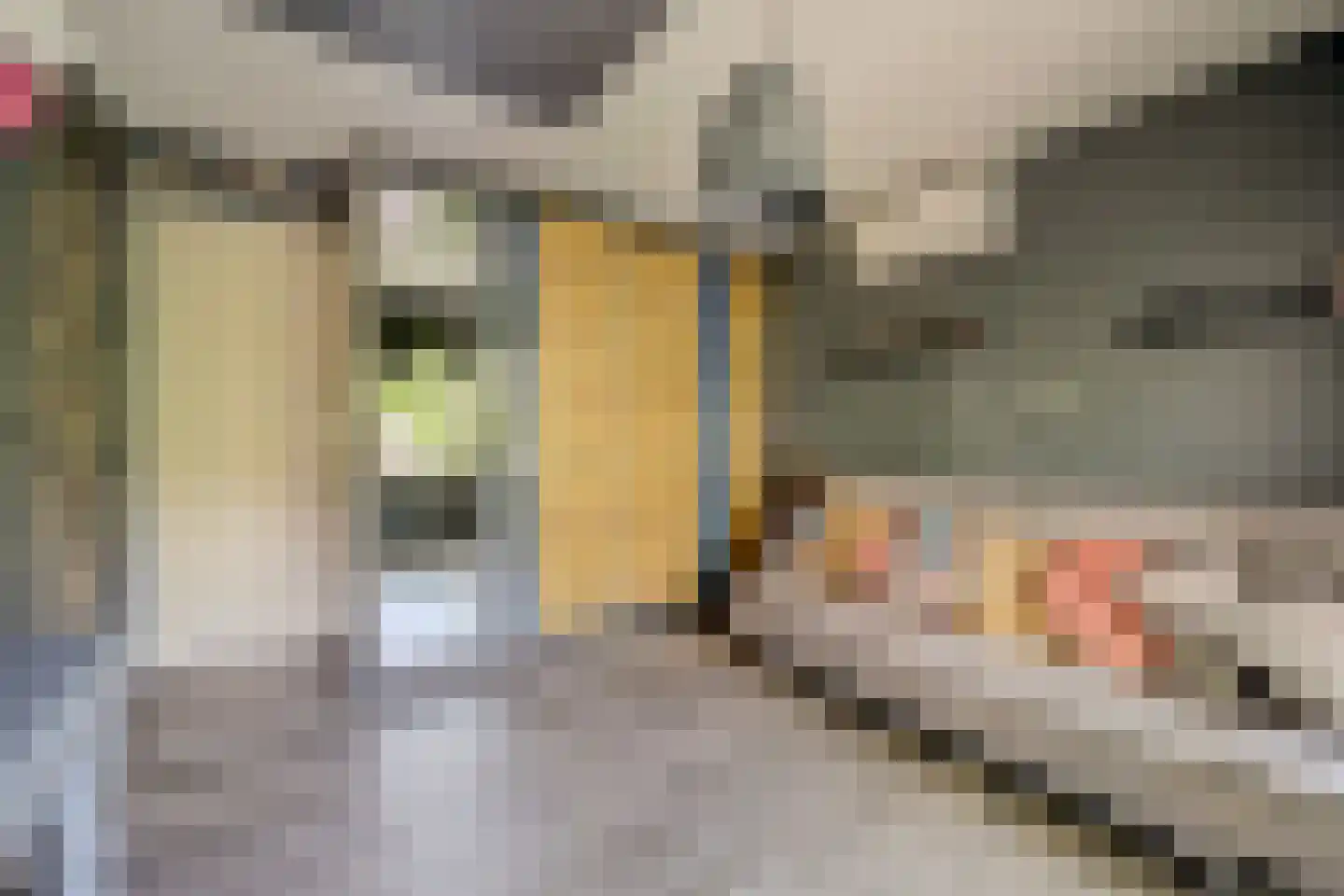 Hoofdstraat 34 a Kilder thumbnail 24