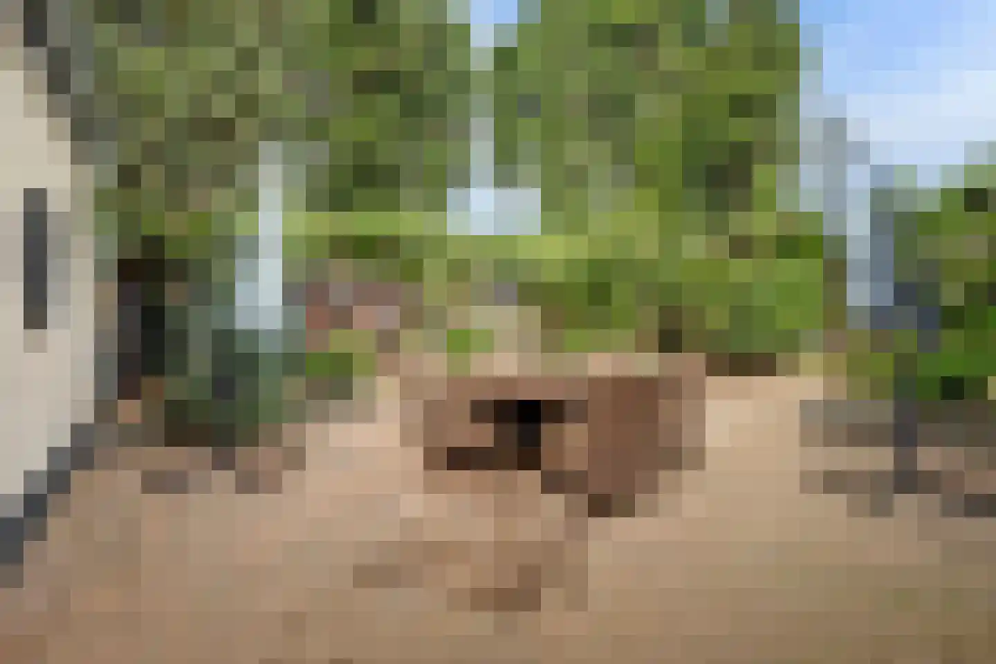 Hoofdstraat 34 a Kilder thumbnail 30