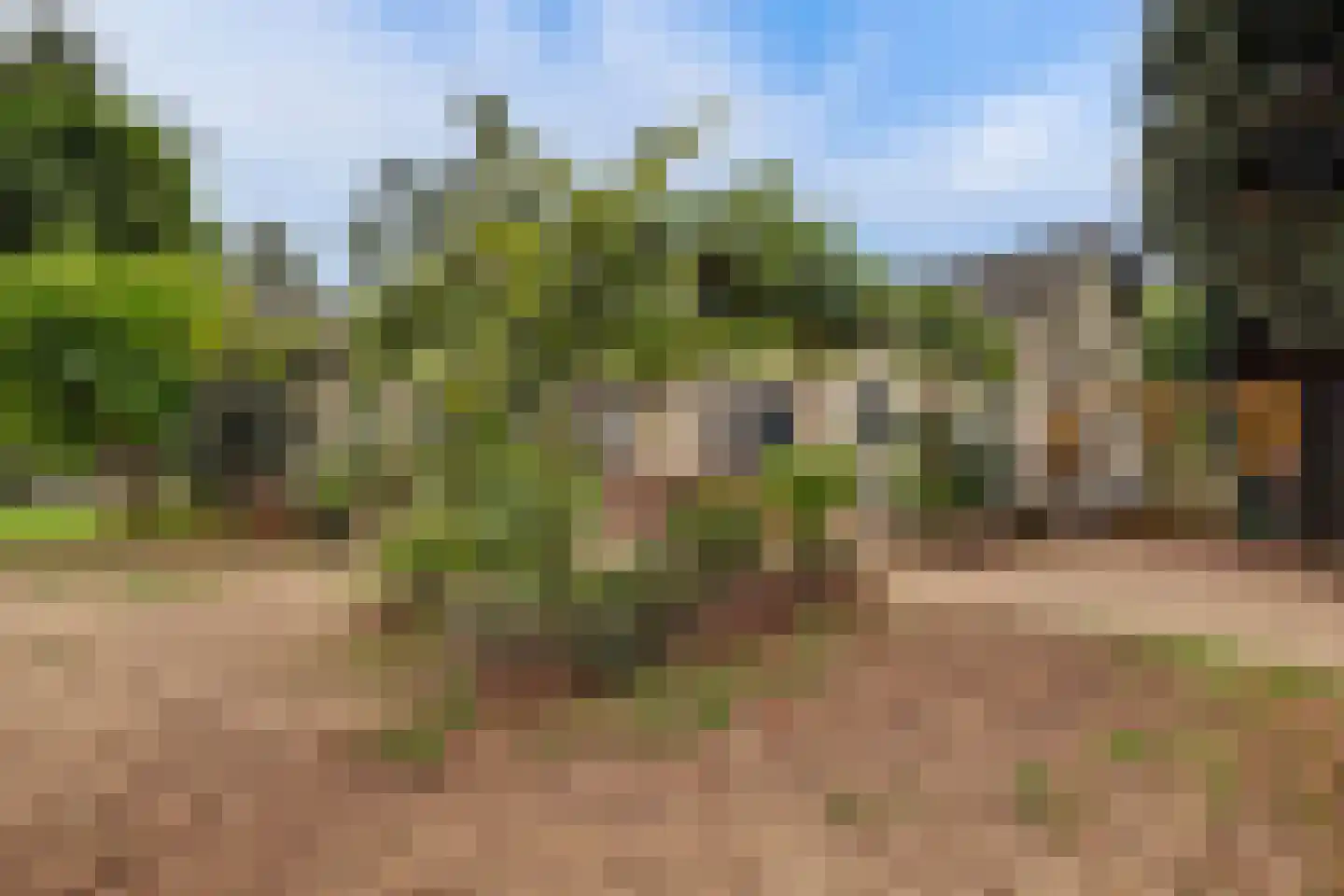 Hoofdstraat 34 a Kilder thumbnail 34