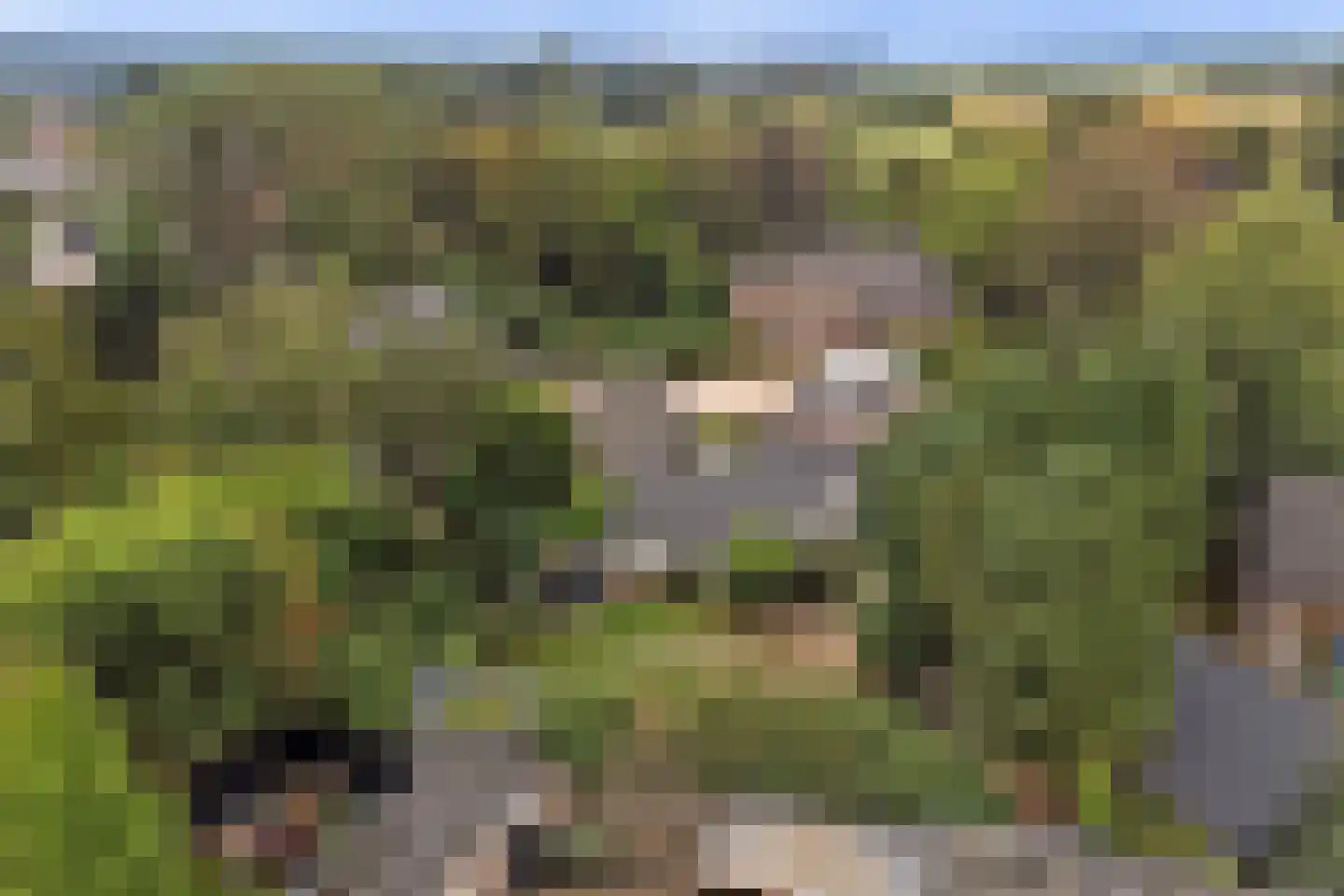 Hoofdstraat 34 a Kilder thumbnail 44
