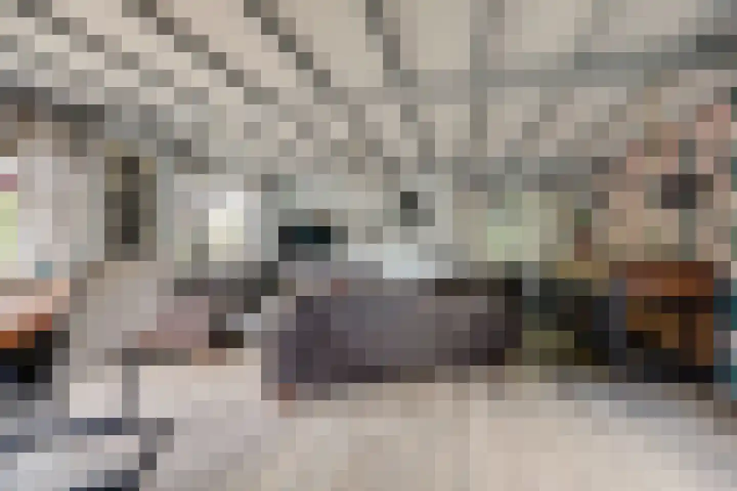 Hoofdstraat 34 a Kilder thumbnail 9