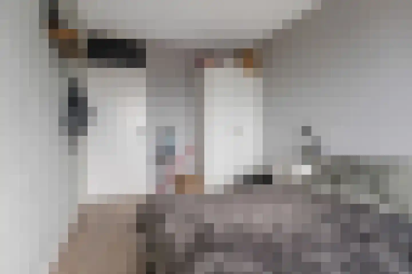 Hoofdstraat 34 d Hoogezand thumbnail 15