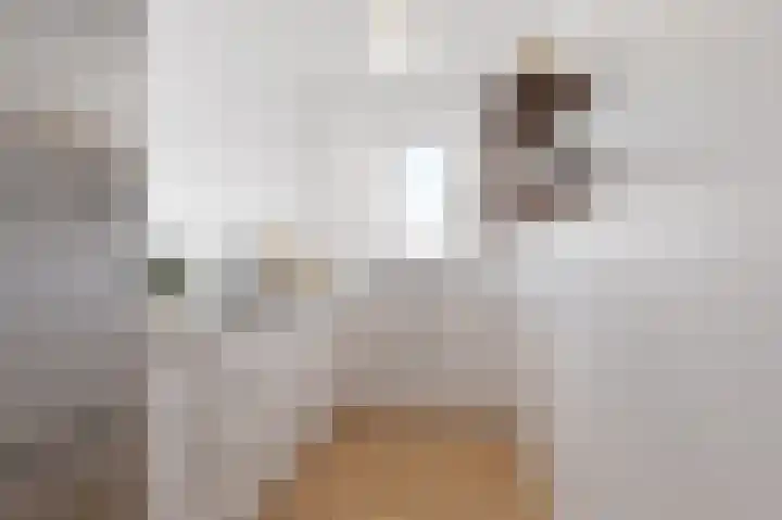 Hoofdstraat 34 e Hoogezand thumbnail 13