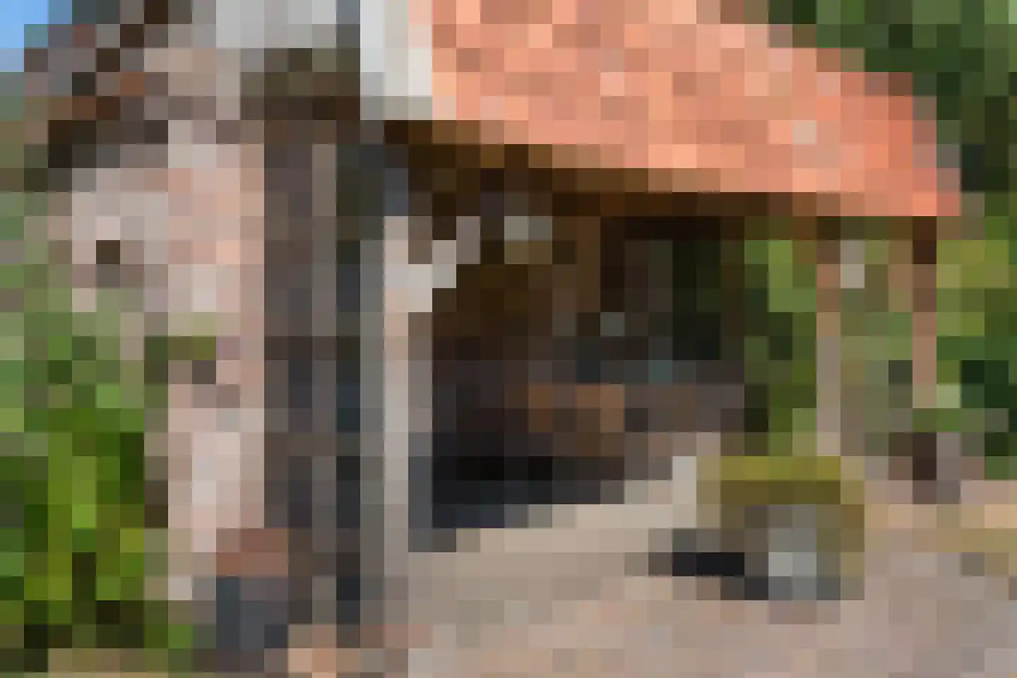 Hoofdstraat 34 Hooghalen thumbnail 40