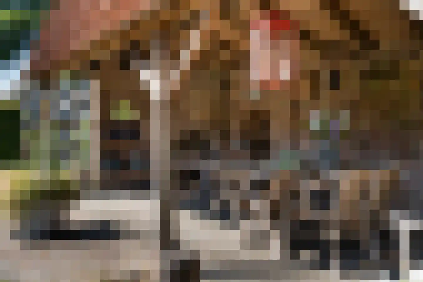 Hoofdstraat 34 Hooghalen thumbnail 41