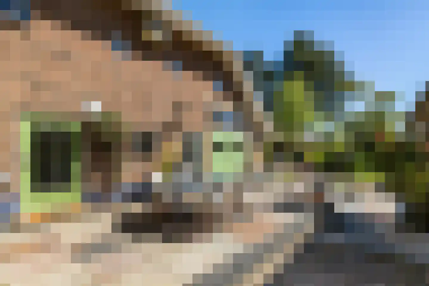Hoofdstraat 34 Odoorn thumbnail 13