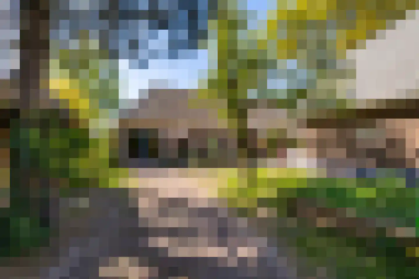 Hoofdstraat 34 Odoorn thumbnail 14