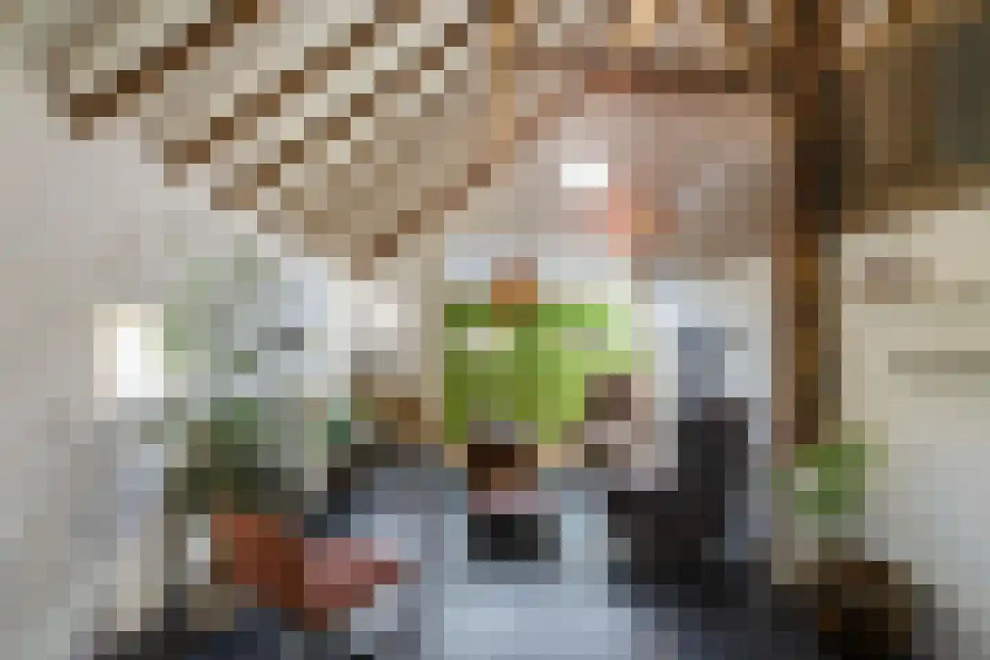 Hoofdstraat 34 Odoorn thumbnail 21