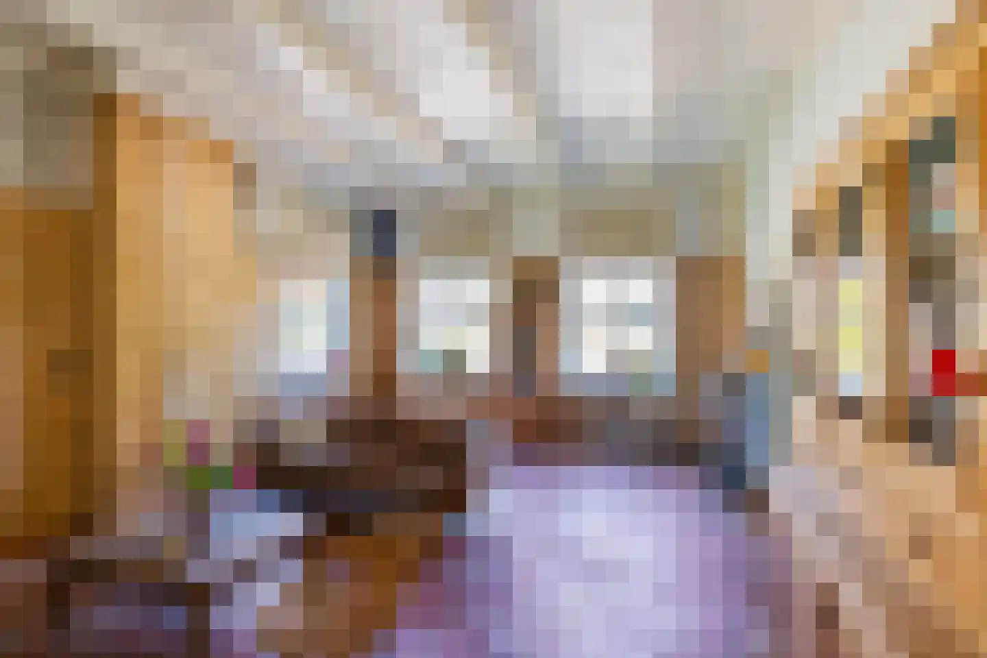 Hoofdstraat 34 Odoorn thumbnail 29
