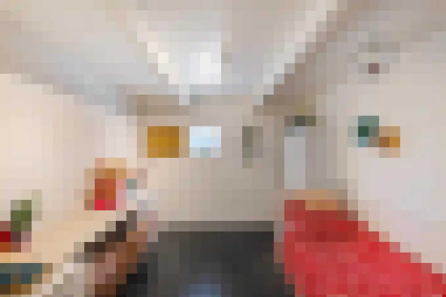 Hoofdstraat 34 Odoorn thumbnail 38