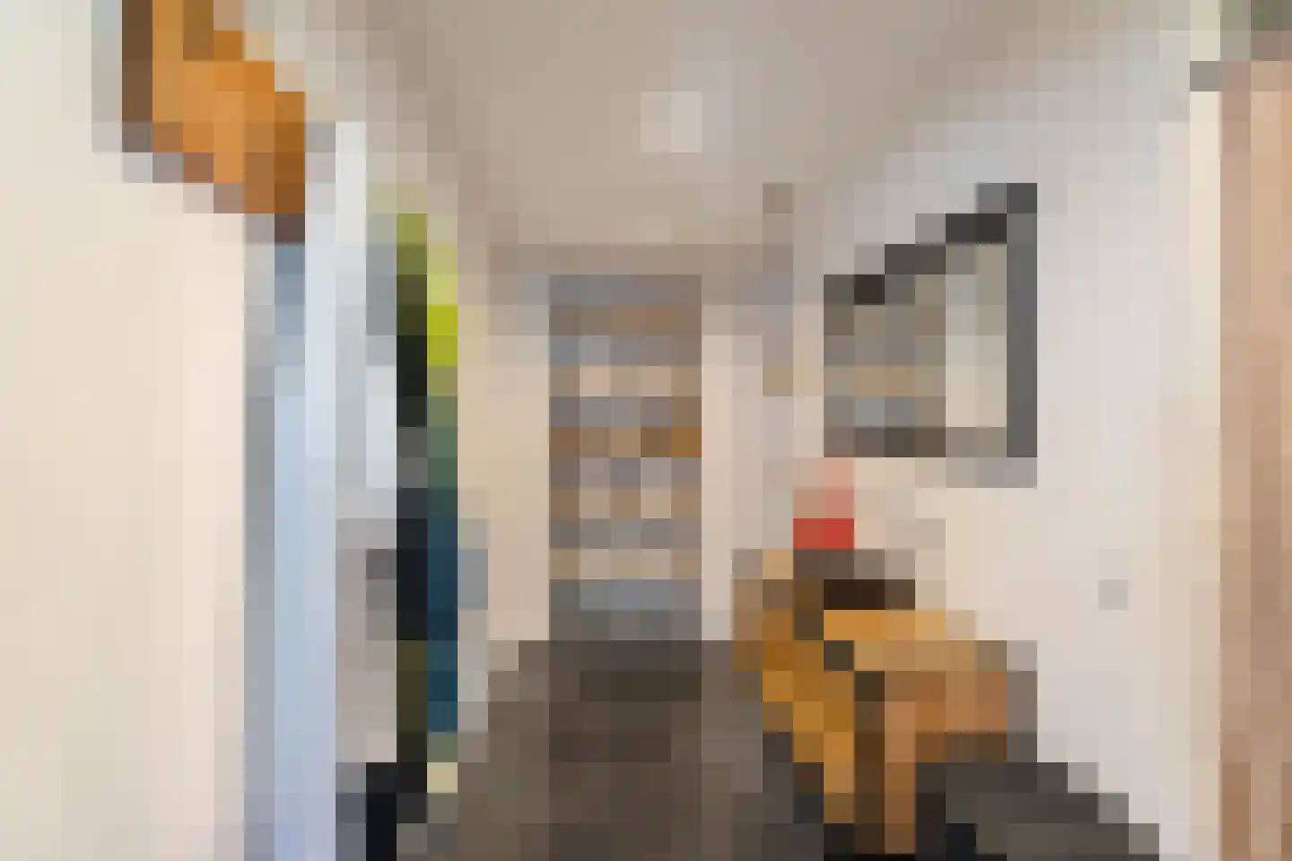 Hoofdstraat 34 Odoorn thumbnail 43