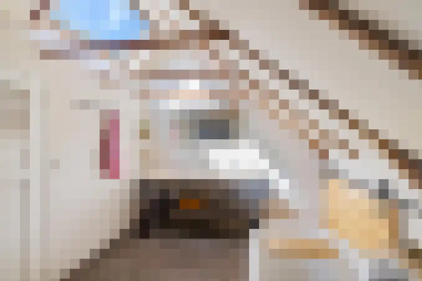 Hoofdstraat 34 Odoorn thumbnail 48