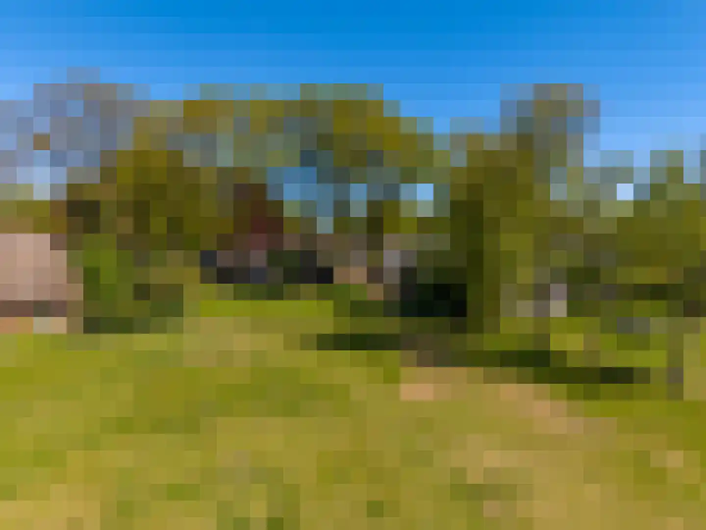 Hoofdstraat 34 Odoorn thumbnail 6