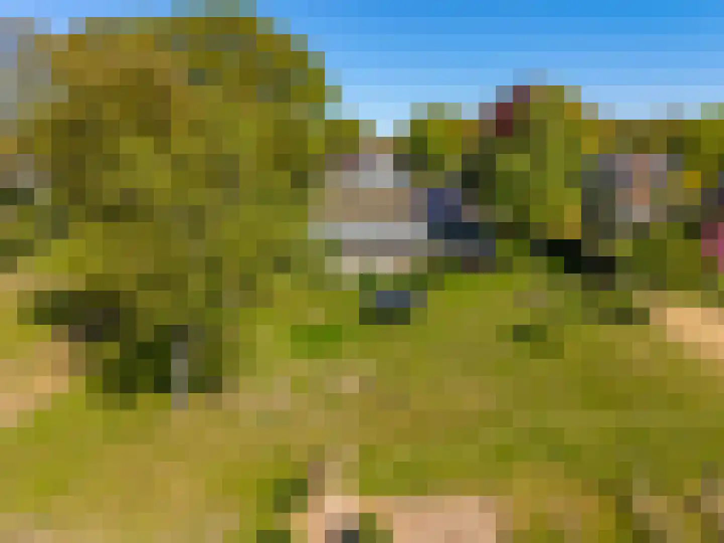 Hoofdstraat 34 Odoorn thumbnail 9