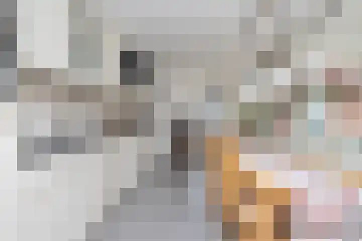Hoofdstraat 34 Overdinkel thumbnail 11