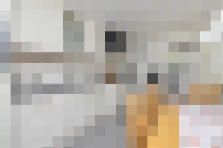 Hoofdstraat 34 Overdinkel thumbnail 12