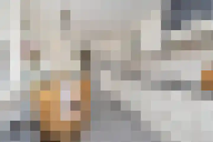 Hoofdstraat 34 Overdinkel thumbnail 14