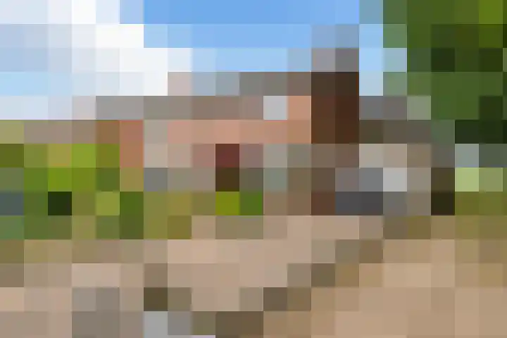 Hoofdstraat 34 Overdinkel thumbnail 17