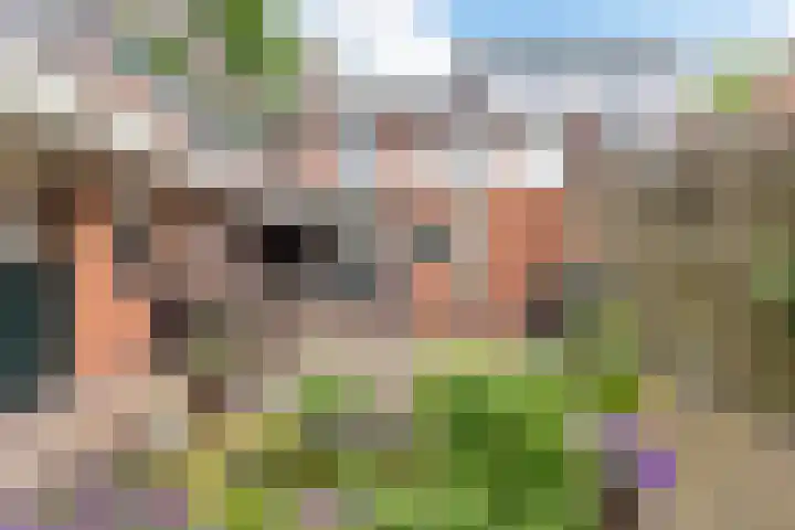 Hoofdstraat 34 Overdinkel thumbnail 34