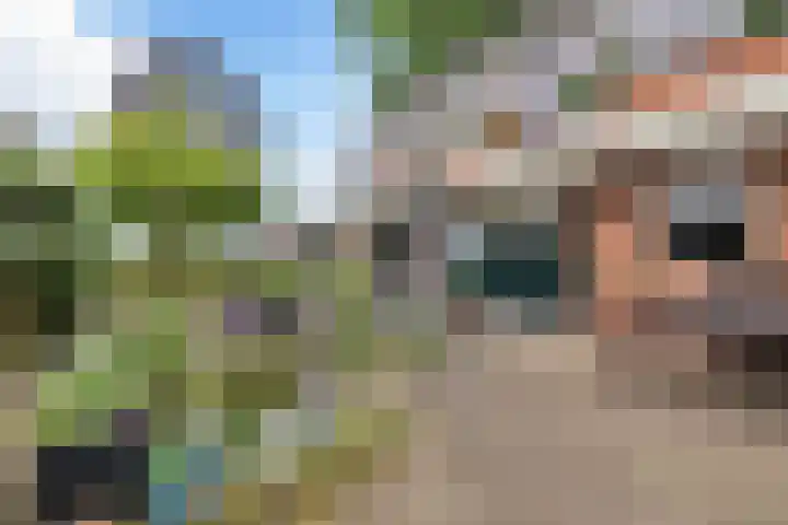 Hoofdstraat 34 Overdinkel thumbnail 36