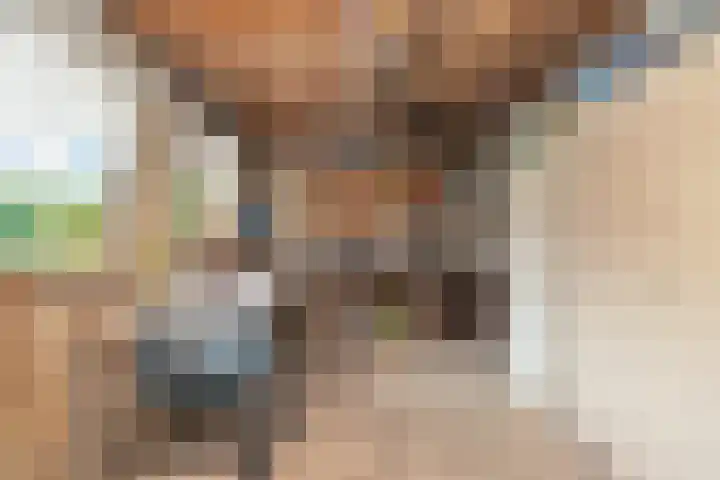 Hoofdstraat 34 Overdinkel thumbnail 48